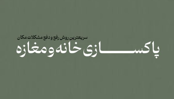 پاکسازی منزل